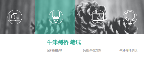 VIP Tutors牛津剑桥笔试指导培训！全科目指导，牛剑导师亲授！