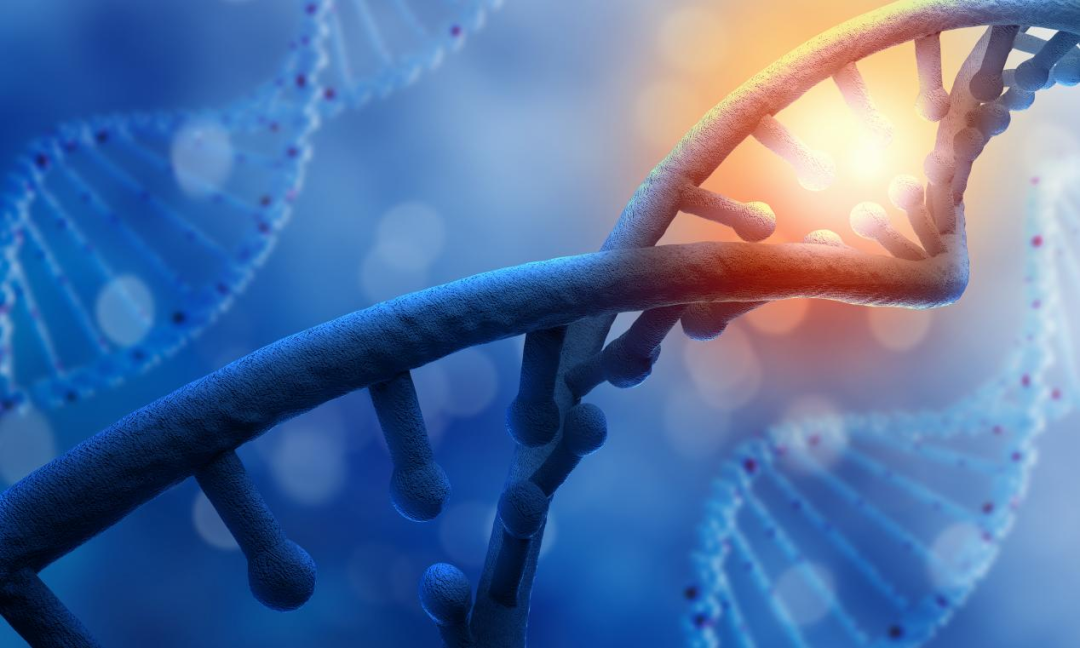 背景提升丨活动辅导系列-BIO USACN美国生物奥林匹克活动辅导