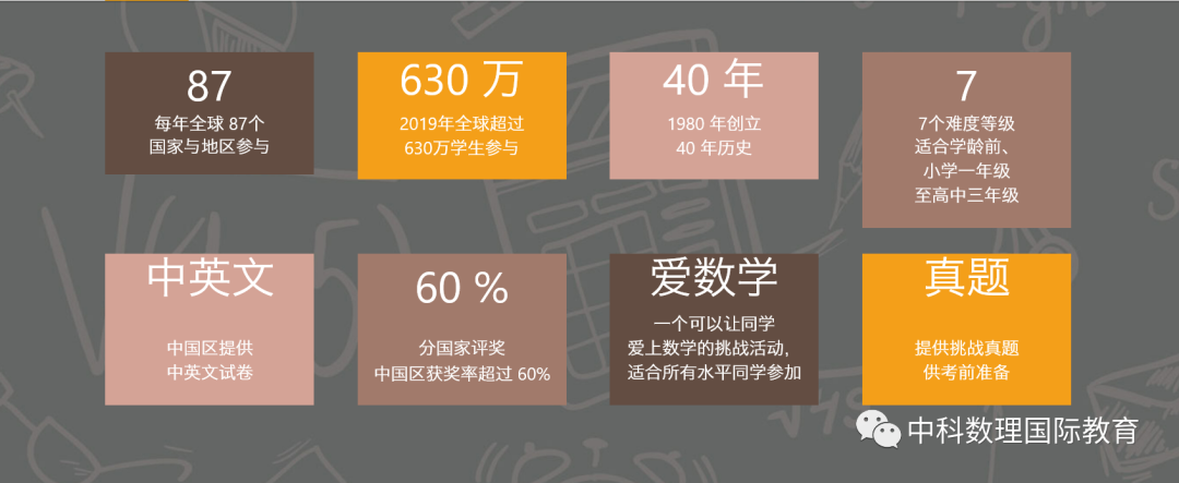 袋鼠数学思维挑战