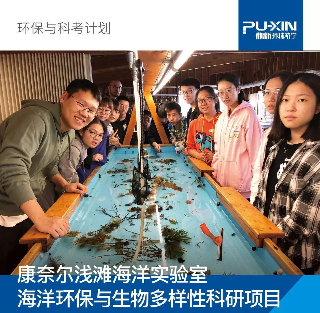 野生动物和环保有没有调研项目呢？朴新环球游学环保项目汇总！