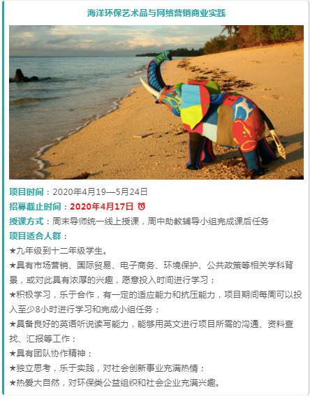 海洋环保艺术品与网络营销商业实践项目详情：