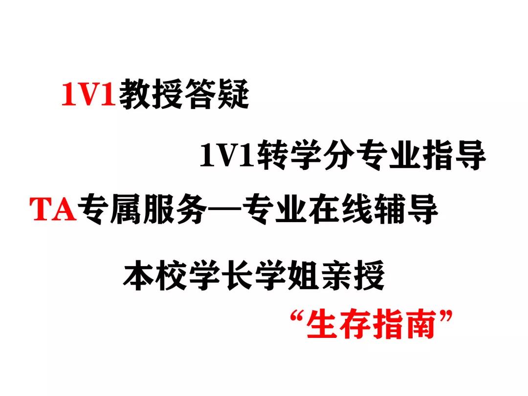 暑校网课UIBE、BSU、FSU线上课程有哪些？课程优势分享！