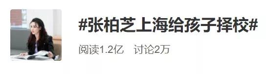 张柏芝参加国际学校家长面试上热搜！国际学校如何考察家长？
