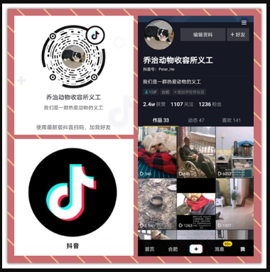 19-20 YIC青年影响力行动获奖信息公布