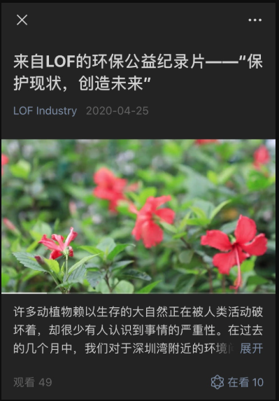 19-20 YIC青年影响力行动获奖信息公布