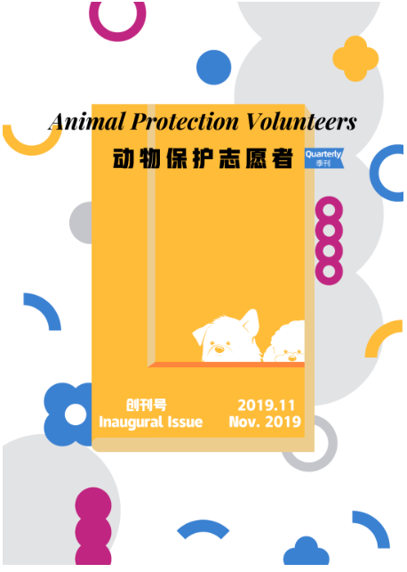 19-20 YIC青年影响力行动获奖信息公布