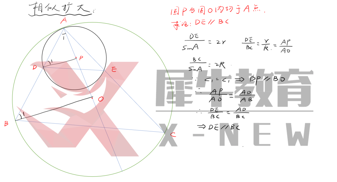 【独家发布】犀牛干货！AIME考前点拨（一）
